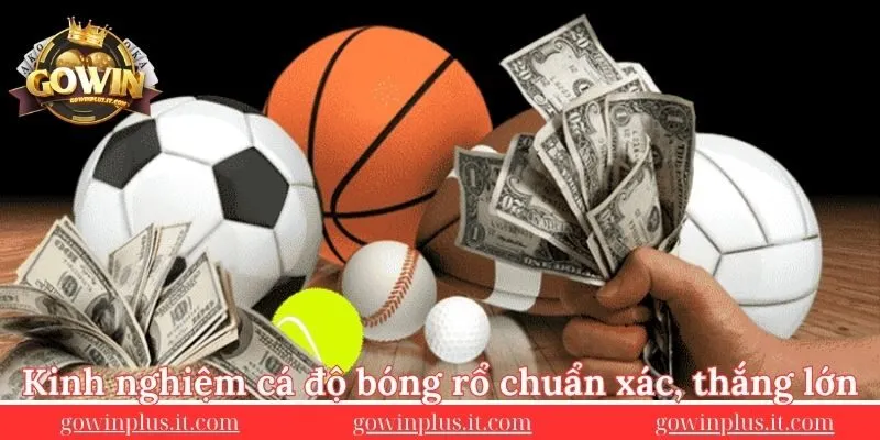 Ca-do-bong-ro-voi-keo-cuoc-chat-thang-lon-nhat