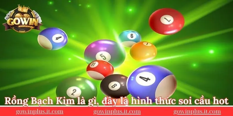 rong-bach-kim-la-gi-day-la-hinh-thuc-soi-cau-hot