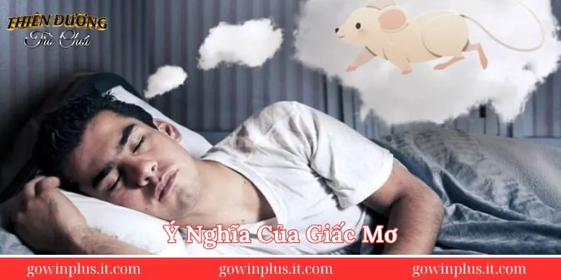y-nghia-cua-giac-mo